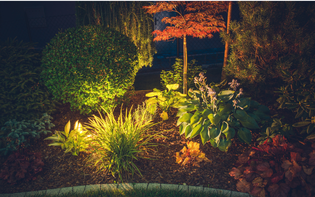 Ambient landscape lighting in raised mulch bed with bushes and colorful decorative trees.