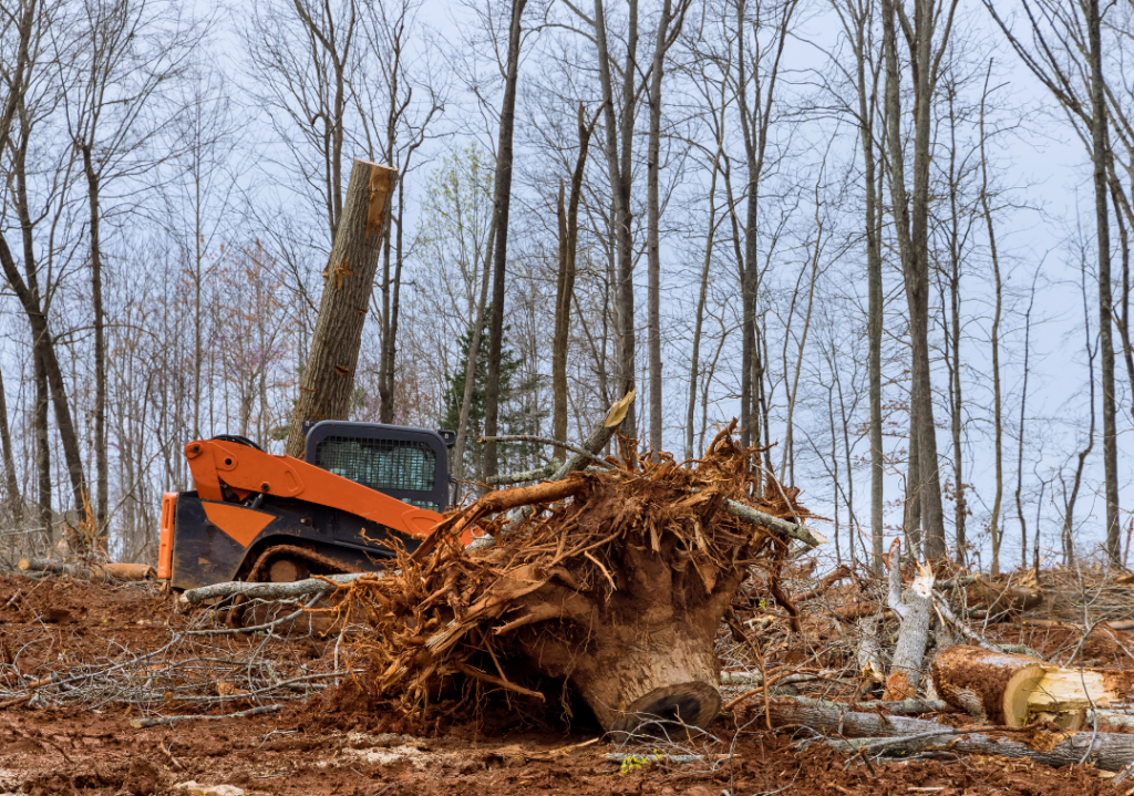 A bulldozer clearing out the forest for our blog post to answer the question what is grading in landscaping?