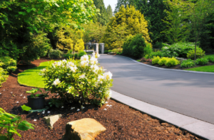 Different Driveway landscape ideas featuring an asphault driveway,cement border with a variety of lush bushes, flowers and various decorative rocks in raised mulched beds.